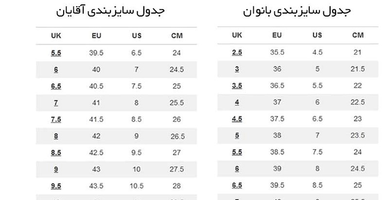 سایزبندی کفش های تولید آسیایی و ایرانی (مانند نایک هایکپی و اپل و جردن و ترویس و ...)